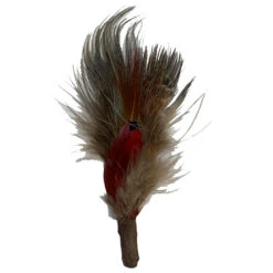 Pluma Stetson Para Sombrero Beige