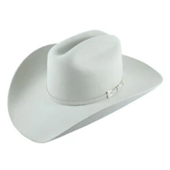 Resistol Logan 6X Silverbelly