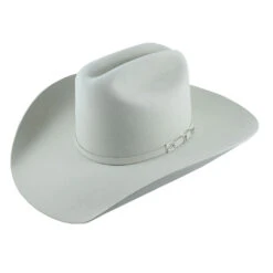 Resistol Long Acre 6x Silverbelly