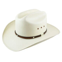 Resistol Warner 10x Natural Ala 3 1/2"