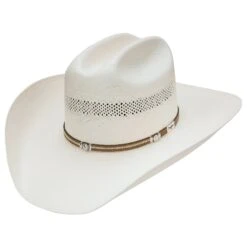 Resistol Avondale 10x Natural