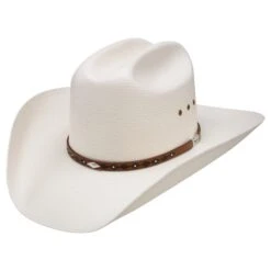 Resistol Clovis 10x Natural